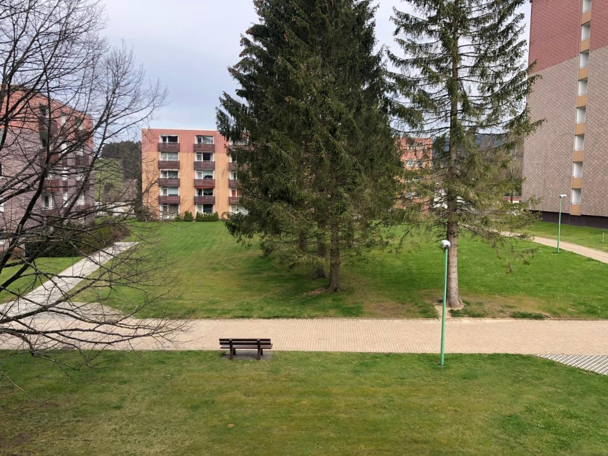 Hans Im Glueck Altenau  Zewnętrze zdjęcie